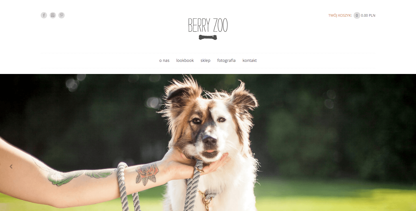 Strona główna sklepu Berryzoo.pl