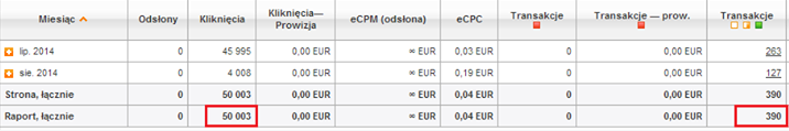 Statystyki w kampanii tj. kliknięcia oraz transakcje