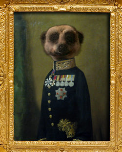 Aleksandr_Orlov_Meerkat