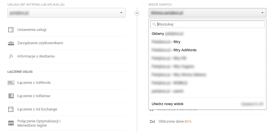 struktura widowków danych w google analitics - Audyt Google Analytics