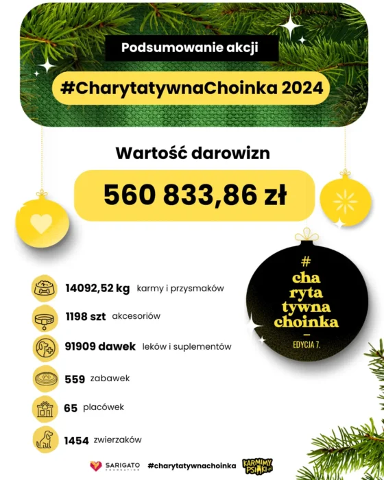 #CharytatywnaChoinka Podsumowanie