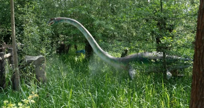 zatorland